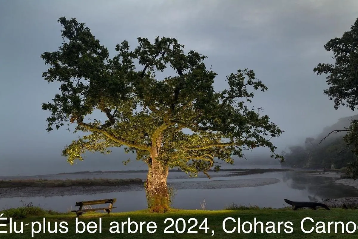 Ty Glazu Doelan Espace 60M2, Port& Criques A Pied, 2 Chambres Privees Au 1Er Etage, Sdb, Wc Separe Clohars-Carnoët 0*,  France